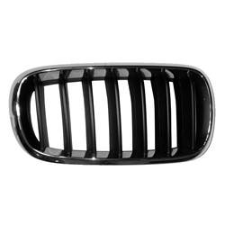 LKQ - '14-'18 BMW X5 Passenger Side Grille