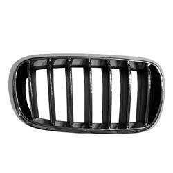 LKQ - '14-'18 BMW X5 Passenger Side Grille