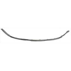 LKQ - 2013-2016 Lincoln MKZ Front Lower Bumper Cover Grille Molding
