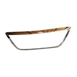 LKQ - 2005-2007 Honda Odyssey Outer Grille Molding