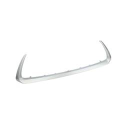 LKQ - '14-'17 Lexus CT200h Front Lower Bumper Cover Grille Molding