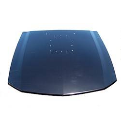 LKQ - '05-'09 Ford Mustang Hood Panel